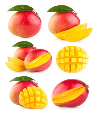 6 mango koleksiyonu