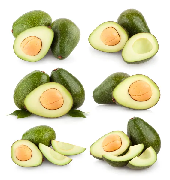 Collection of avocado — Stock Photo, Image