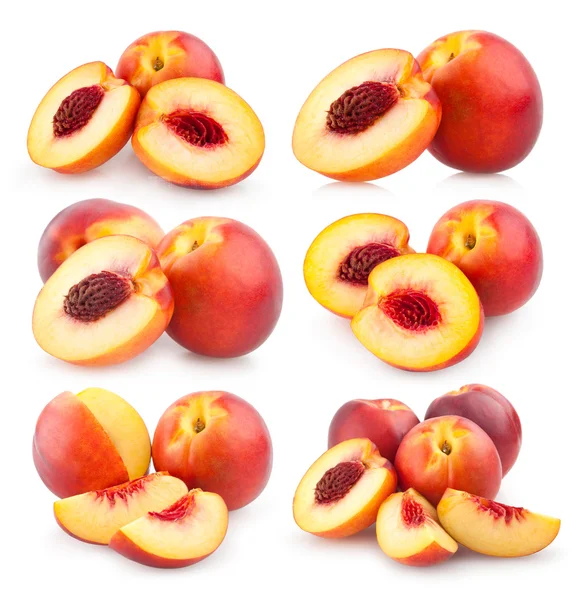 Collection de nectarines — Photo