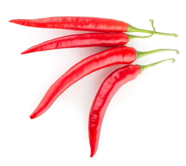 Röd chilipeppar — Stockfoto