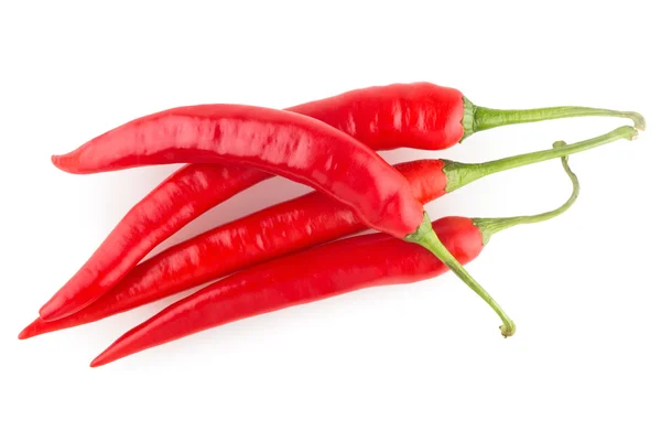 Röd chilipeppar — Stockfoto