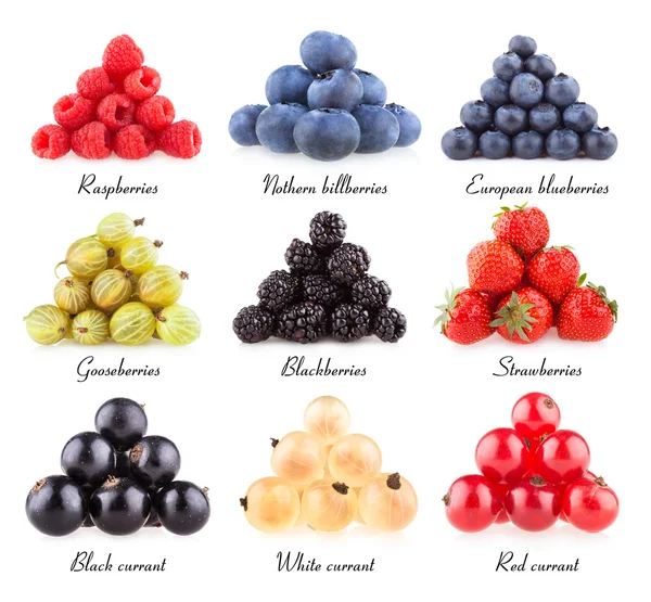 Collection of 9  berries — Stock Photo, Image