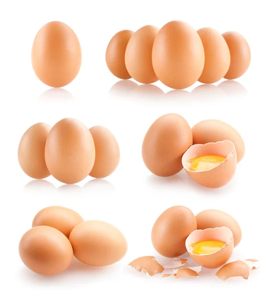 Collection of 6 eggs — Stock Photo, Image