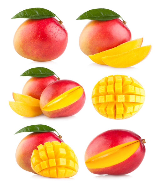 Collection of 6 mango