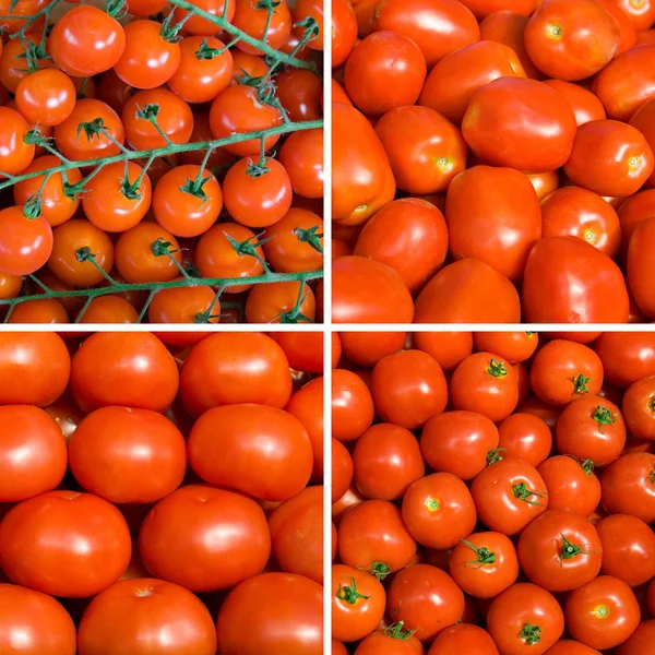 Set di sfondi di pomodoro maturo — Foto Stock