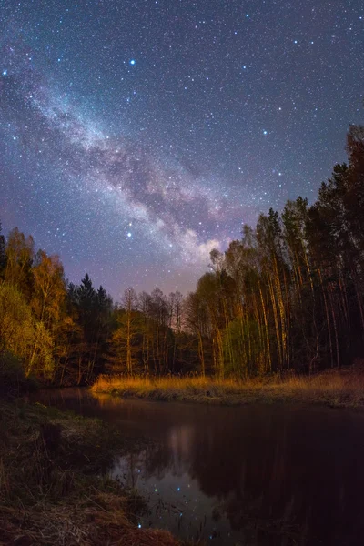 Noche estrellada sobre el río bosque —  Fotos de Stock