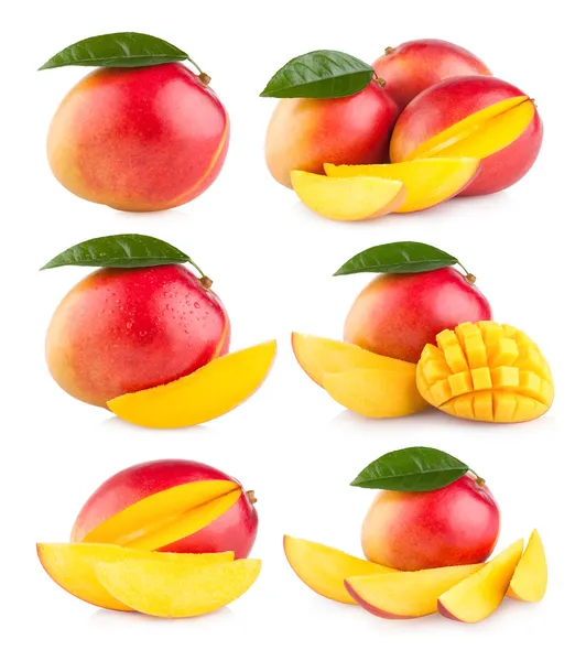 Colección de 6 mango Imagen de stock