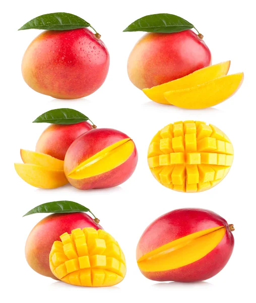 Colección de 6 mango Imágenes de stock libres de derechos