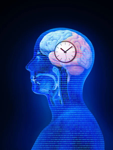 The circadian rhythms are controlled by circadian clocks or biological clock these clocks tell our brain when to sleep, tell our gut when to digest and control our activity in several day. 3d render, illustration