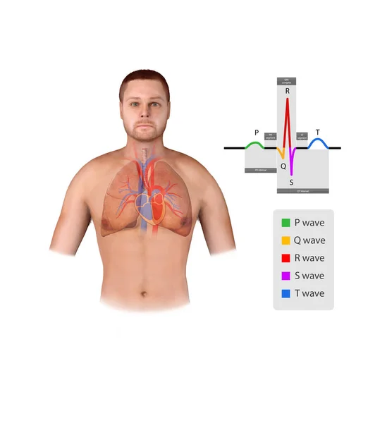 Ecg Heart Beat Line Icon Symbol Heartbeat Pulse Hospital Illustration — Stock Photo, Image