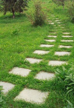 Taş kaldırım çimenlerin üzerinde