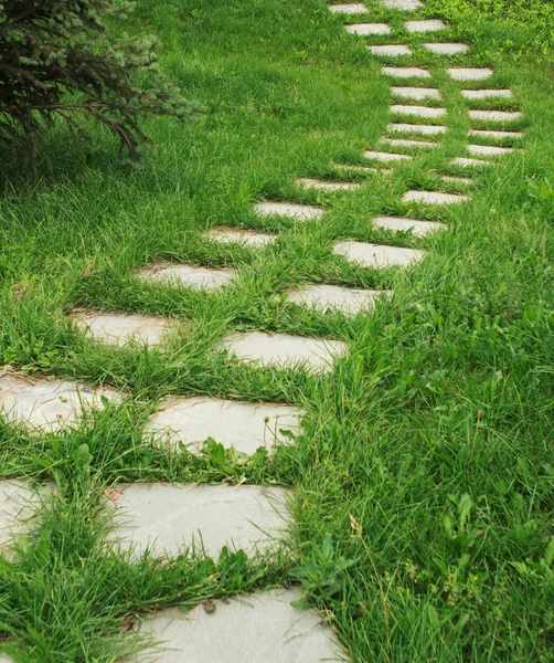 Stone walkway on the grass — Stock Photo, Image