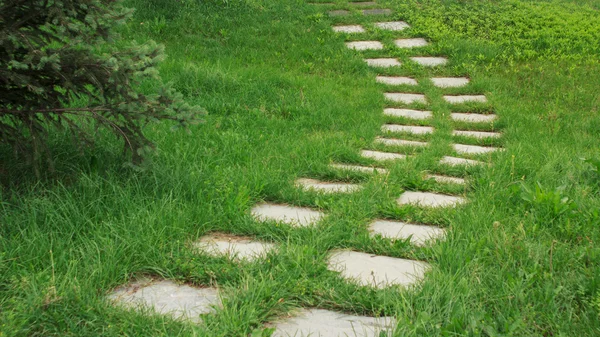 Stone walkway on the grass — Stock Photo, Image