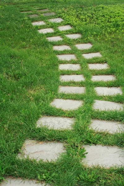 Каменная дорожка на траве — стоковое фото