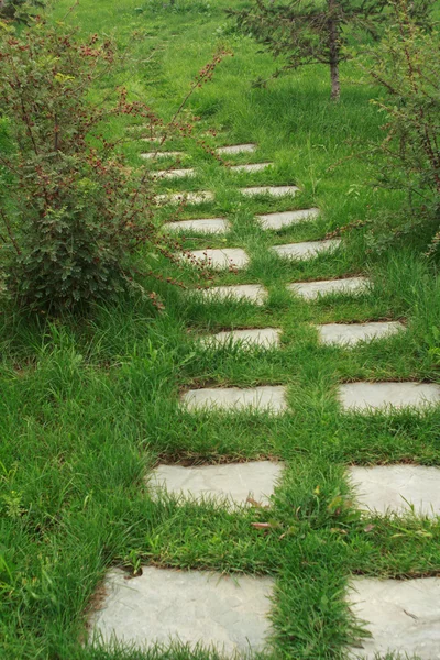 Stone walkway on the grass — Stock Photo, Image