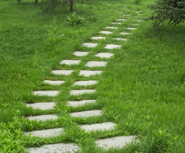 Stone walkway on the grass — Stock Photo, Image