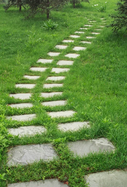 Каменная дорожка на траве — стоковое фото