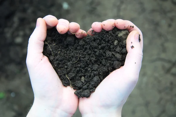 Mână care ține solul negru sub formă de inimă — Fotografie, imagine de stoc