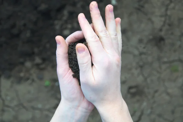 Hands rumpling black soil — Stock Photo, Image