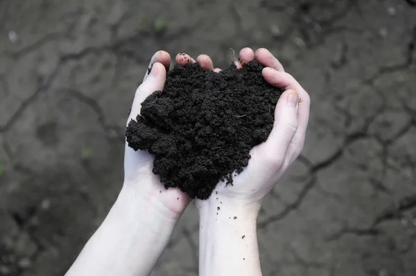 Hand holding soil, dry soil on background — Stock Photo, Image