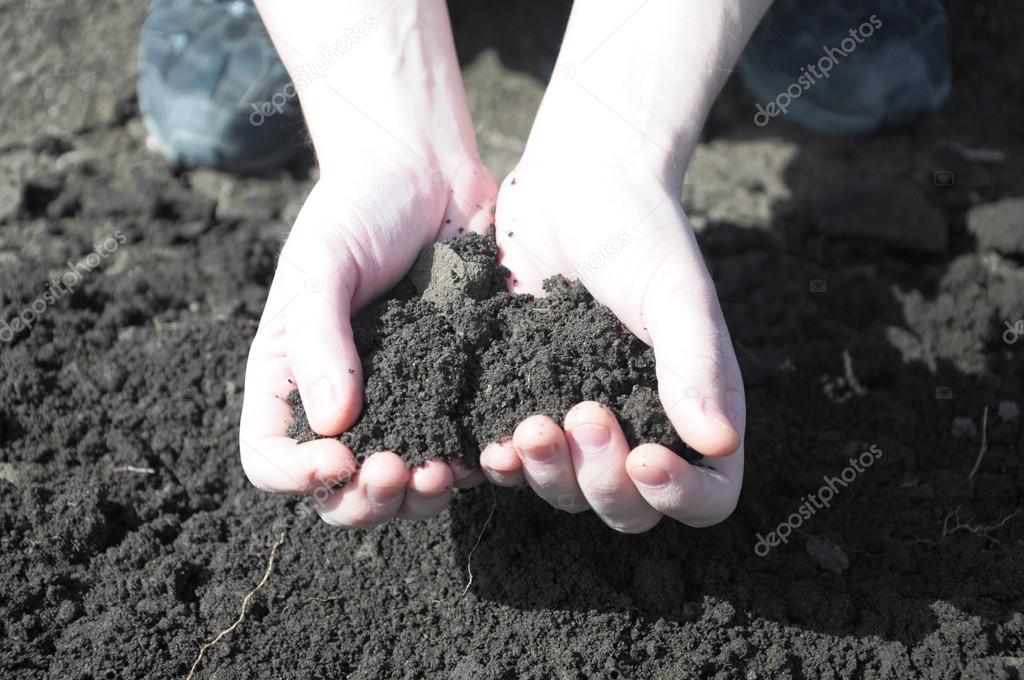 clod of earth in the hands of the farmer