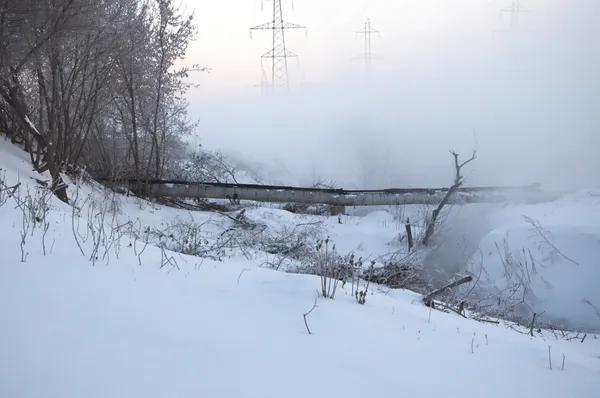 Mgła w zimie — Zdjęcie stockowe