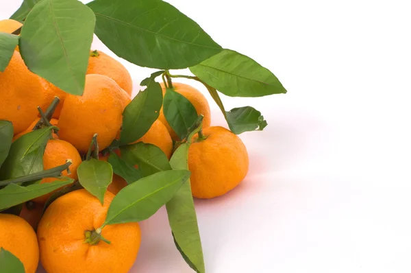 Mandarinen mit Blättern auf der linken Seite — Stockfoto