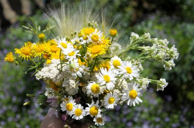 kır çiçekleri buketi yaz