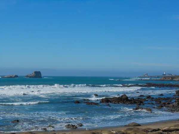 Grande sul praia califórnia — Fotografia de Stock