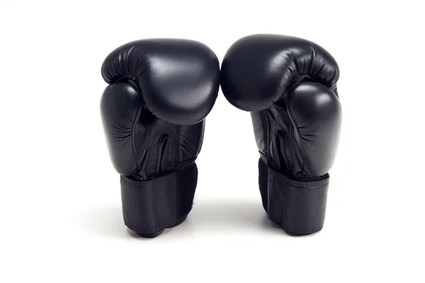 Боксерские глобусы — стоковое фото