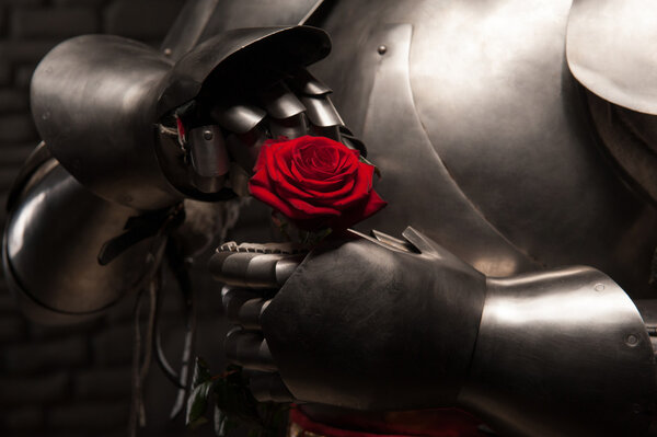 Рыцарь в доспехах с красной розой
