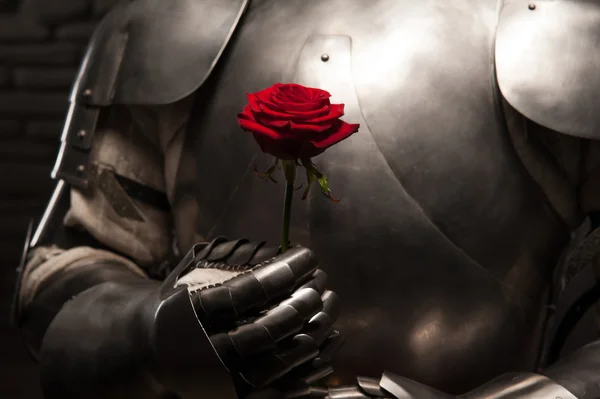 Knight in armor holding red rose Royalty Free Stock Images