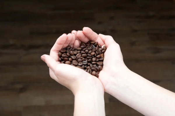 Woman holding coffee beans in hands — Stock Photo, Image