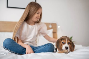 Tatlı kız yatağında oturmuş köpeğiyle oynuyor.