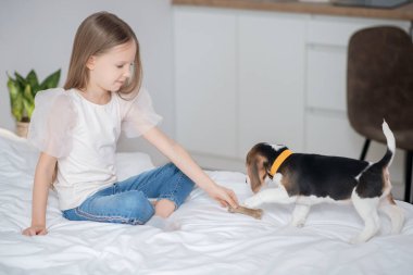 Uzun saçlı bir kız, köpeğiyle yatakta oynuyor.