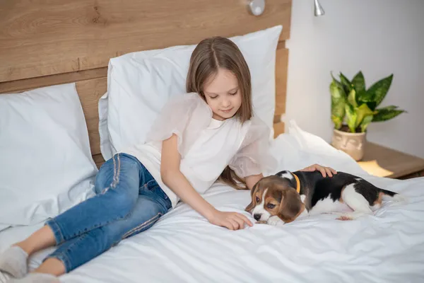 En långhårig flicka leker med sin valp på sängen — Stockfoto