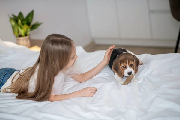 Uzun saçlı bir kız, köpeğiyle yatakta oynuyor. — Stok fotoğraf