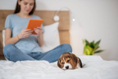 Genç bir kadın evde köpeğiyle vakit geçiriyor.