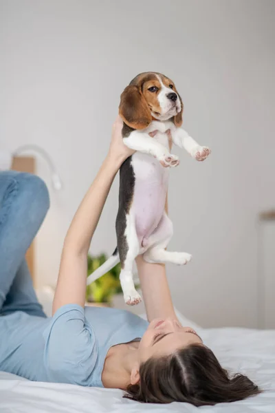 Eine junge Frau hält ihren kleinen süßen Welpen und fühlt sich friedlich — Stockfoto