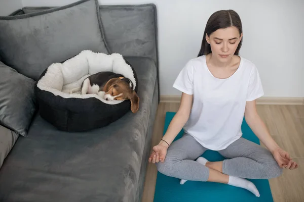 Una mujer sentada en una pose de loto mientras su cachorro duerme — Foto de Stock