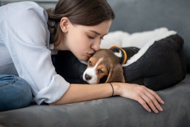 Mutlu bir evcil hayvan sahibi ve küçük sevimli köpeği