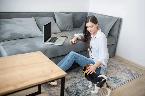 Een vrouw die thuis werkt, haar puppy die naast haar speelt — Stockfoto