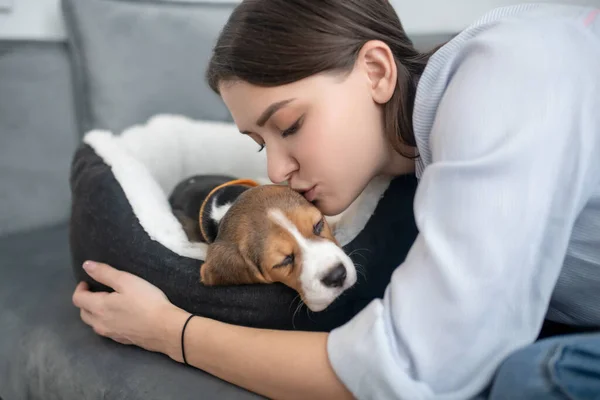 En husdjursägare kysser sin söta lilla valp — Stockfoto