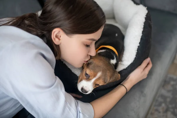 Właściciel zwierząt całuje jej cute little puppy — Zdjęcie stockowe
