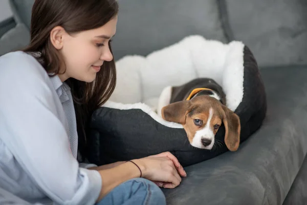 Egy boldog kisállat tulajdonos az aranyos kiskutyájával — Stock Fotó