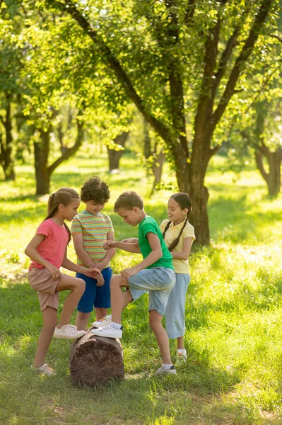 Iskolások gyermekek közelében csonk zöld parkban — Stock Fotó