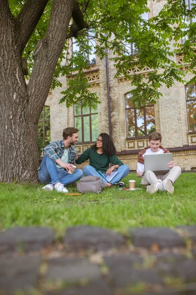 Üniversite binasının yakınındaki çimlerin üzerinde oturan genç erkekler ve bir kız. — Stok fotoğraf