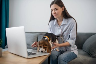 Genç, siyah saçlı, dizüstü bilgisayarda oturan sevimli bir köpek yavrusu olan kadın.