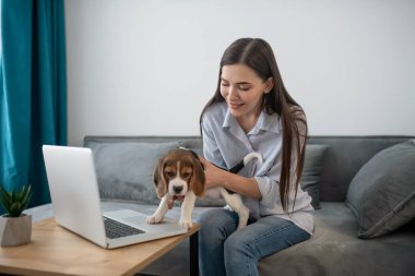 Genç, siyah saçlı, dizüstü bilgisayarda oturan sevimli bir köpek yavrusu olan kadın.