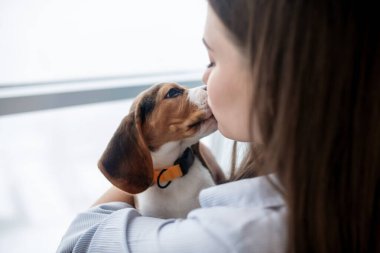 Hayvan sahibi sevimli köpeğini tutuyor ve mutlu görünüyor.